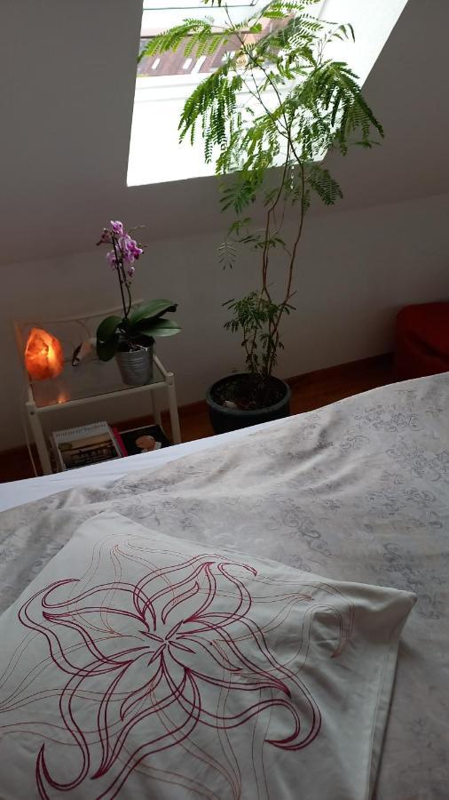 Agnes Vintage Home Hannover Eksteriør billede